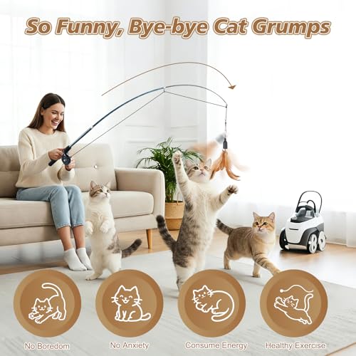 Pawaboo Cat Feather Toys, 4 Pack Interactive Cat feather Teaser Wand Toys, Retractable Fishing Pole Wand Catcher Exerciser with Refill Fish, Dragonfly Worm with Bells, Fun Cat Kitten Kitty Playing Toy - color: Bionic Brown Feather