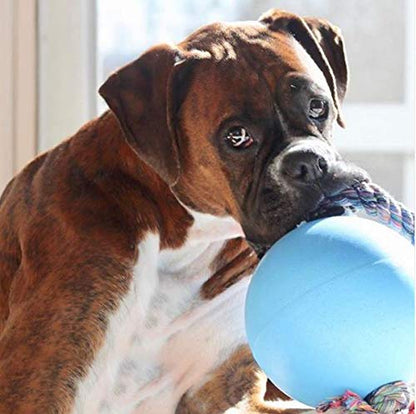 Jolly Pets Romp-n-Roll Rope and Ball Dog Toy, 8 Inches/Large, Blueberry, All Breed Sizes - color: Blueberry, size: Large (8 in)