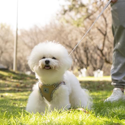 Dog Harness and Leash Set - No Pull Soft Breathable Small Dog Harness, Adjustable Reflective Step in Vest for Puppy, Kitten, Cats - color: khaki, size: xxs
