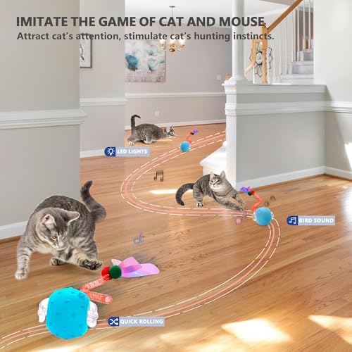 Interactive Cat Toys for Bored Indoor Cats, Chirping & Motion-Activated Cat Toys, Fun Gift for Cats with 2 Speed Settings & 3 Modes, USB Rechargeable,Blue