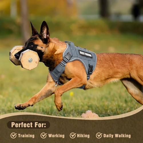 Tactical Dog Harness Small Sized Dog,No Pull Military Dog Vest with Handle,Reflective Heavy Duty Pet Harness for Walking Hiking Training Gray S - color: Gray, size: Small