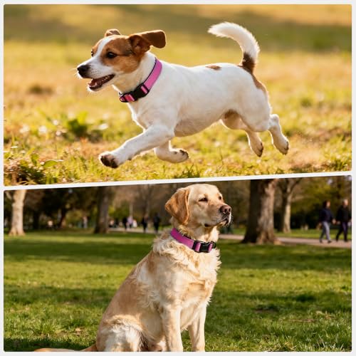 Reflective Dog Collar with Quick Release Buckle - Metal Ring - Adjustable Soft Neoprene Padded Basic Dog Collar for Small Medium Large Dogs (Hotpink, Large :Width 1",Neck 15.7-23.6") - color: Hotpink, size: Large