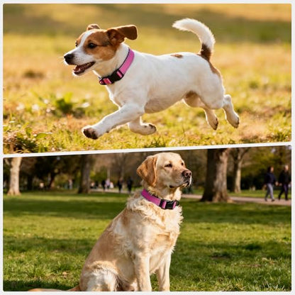Reflective Dog Collar with Quick Release Buckle - Metal Ring - Adjustable Soft Neoprene Padded Basic Dog Collar for Small Medium Large Dogs (Hotpink, Medium :Width 1",Neck 13.8-19.6") - color: Hotpink, size: Medium