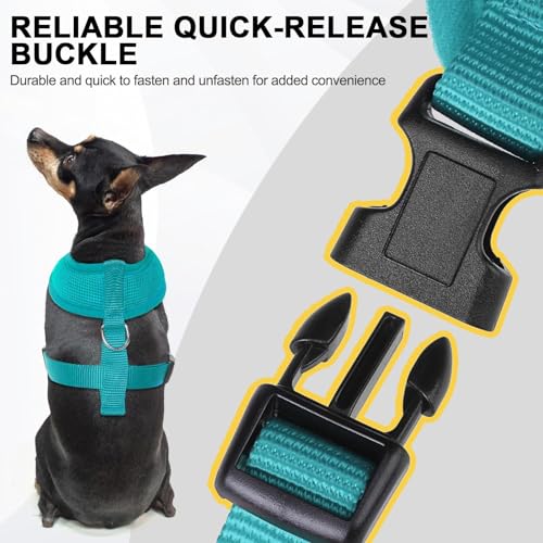 BINGPET Small Dog Harness, No Pull Dog Harness Small Sized Dogs, Soft Light Breathable Mesh Puppy Vest with Safety Buckle-Adjustable Step in Pet Harnesses for Easy Walking, Running, Training - color: Aqua, size: S (NECK: 12", CHEST: 14"-18")