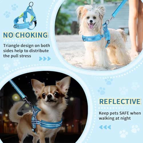 Lukovee No Pull Dog Harness and Leash Set, Soft Padded Small Dog Harness, Neck & Chest Adjustable Reflective Vest Puppy Harness with 4ft Lightweight Anti-Twist Dog Leash for Small Dogs (LBL, XS) - color: Light Blue, size: XS ( Chest 14'' ~ 18'')