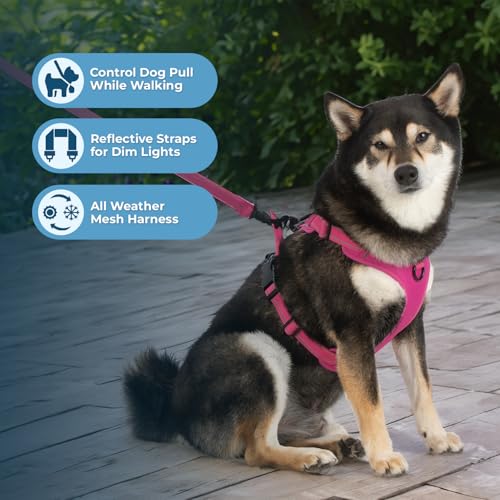 Voyager Dog Harness Dual Leash Attachment No-Pull Control Adjustable Soft but Strong Pet Harness for Medium and Large Dogs with 3M Reflective Technology, Fuchsia Nylon, XL (Chest: 28-37") - color: Fuchsia Nylon, size: XL (Chest: 28 - 37")