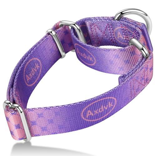 Martingale Dog Collar Colorful Gradient Fashionable - Anti-Escape Soft Durable Pets Collar for Walking Training Outdoor Daily Use -Medium, Lilac Mist - color: Lilac Mist, size: Medium: 14" -21"