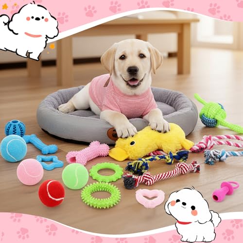 Zopeal 24 Pcs Luxury Dog Gift Set Thickened Plush Dog Bed and Sweater Dogs Squeaky Toys Breed Chewer Cute Duck Stuffed and Soft Squeaker Balls for Winter Puppy Pet Teething Chewing