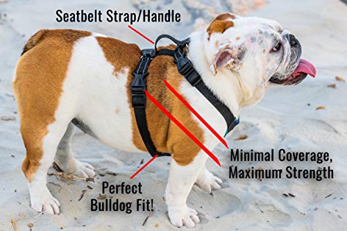 No-Pull Harness for English & French Bulldogs - Adjustable Wide-Chest Fit, Reflective Vest with Control Handle (K9 Khaki Camo, XL) - color: K9 Khaki Camo, size: XL
