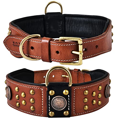 Genuine Leather ‘Cupola’ Series Dog Collar | Celtic Conchos & Gold Dome Rivets | Soft, Cushion Padding, Handmade | Best for Medium, Large, XL Breeds (L (Neck Size 18.5"-22.5"), Sienna Brown) - color: Sienna Brown, size: L (Neck Size 18.5"-22.5")