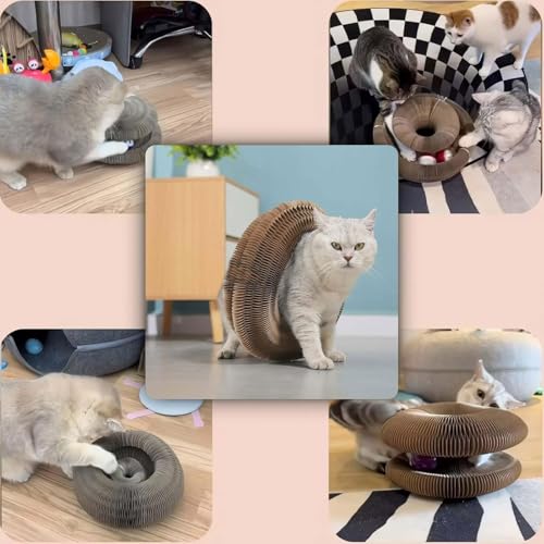 2Pcs Magic Organ Cat Scratcher Toy, Extra-Thick & Large Connectable Cardboard Cat Scratching Board with Bell Ball, Interactive Enrichment Toy for Indoor Cats & Kittens - size: 2Pack