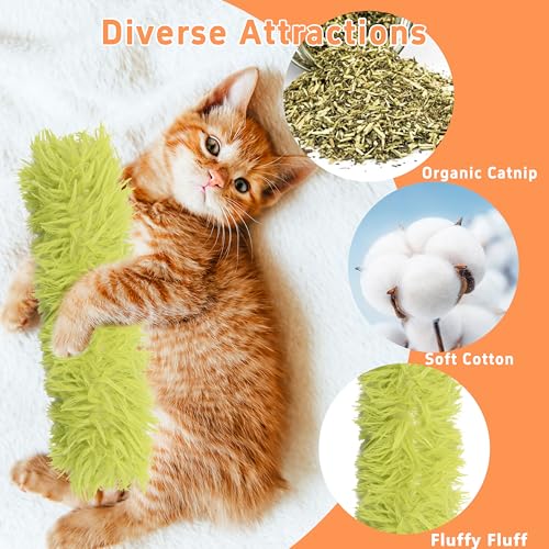 3 Pack Soft and Durable Cat Pillows, Rich Color Catnip Toys - Indoor Interactive Cat Kicker Toys for Cats (Green Set) - color: Green+Blue+Pink