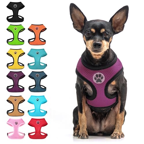 BINGPET Small Dog Harness, No Pull Dog Harness Small Sized Dogs, Soft Light Breathable Mesh Puppy Vest with Safety Buckle-Adjustable Step in Pet Harnesses for Easy Walking, Running, Training - color: Purple, size: S (NECK: 12", CHEST: 14"-18")