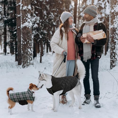 Kuoser Warm Dog Coat, Waterproof Dog Jacket for Extra Large Dogs, Adjustable Durable XL Doggie Winter Coat Reversible Cozy Puppy Cold Weather Apparel from Small to Large Breed, Green XL - color: Green, size: X-Large (Pack of 1)