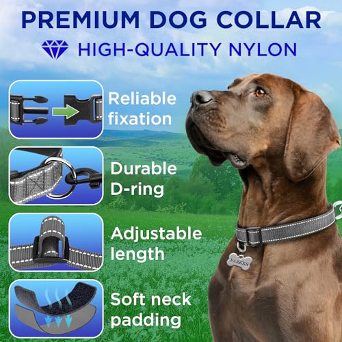 TECEUM Reflective Dog Collar – Gray – S – Extra Soft Padding – Basic Nylon Pet Collar – Quick Release Buckle – Fits Small, Medium and Large Dogs, Puppies, Cats – ESA & Service Dog Options - color: Gray, size: Small