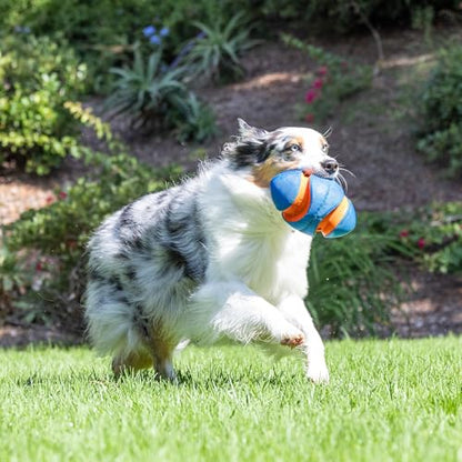 Chuckit! Giggle Fumble Fetch Ball Dog Toy (7.9 Inch Diameter) Giggle Sounds Dog Toy (No Batteries Required), for All Breeds - style: Giggle Fumble