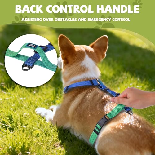 Roses&Poetry Dog Harness Small Sized Dog, 6 Point Adjustable Fit No Pull Harness with Handle for Control and Easy Walking, Reflective Pet Halter Harnesses（Bluegreen-S） - color: BlueGreen（Harness Only Without Leash）, size: S