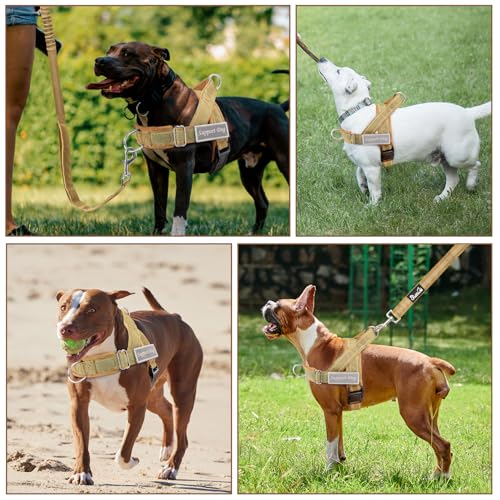 Lukovee No Pull Dog Harness and Leash Set - Heavy Duty Dog Vest with Soft Velvet Padding for Medium Large Dogs, Adjustable Reflective Tactical Harness with 2 Control Handles & Front Clip (S, Yellow) - color: Brown, size: Small