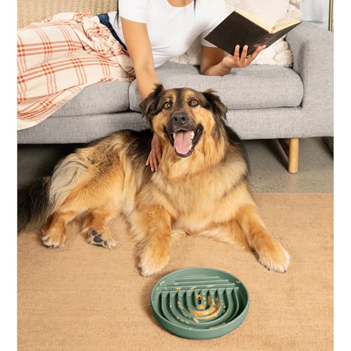 Should We Go? Slow Feeder for Dogs & Puppies, The Slowdown Bowl Silicone Slow Eating, Modern Lick Mat Design, Reduces Gulping, Fits 2.5 Cups, 9.5” Across x 1.5” Tall, Mealtime Challenge, Large-Spruce - color: Spruce - Rainbow Design, size: Large (9.5” Acr