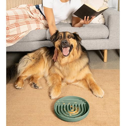 Should We Go? Slow Feeder for Dogs & Puppies, The Slowdown Bowl Silicone Slow Eating, Modern Lick Mat Design, Reduces Gulping, Fits 2.5 Cups, 9.5” Across x 1.5” Tall, Mealtime Challenge, Large-Spruce - color: Spruce - Rainbow Design, size: Large (9.5” Acr
