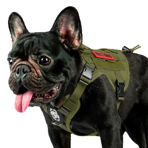 OneTigris Tactical Dog Harness Vest,No-Pull Service Dog Vest with Hook & Loop Panels,Adjustable Dog Vest Harness for Walking Hiking Training(Green,XXS) - color: Green, size: XX-Small