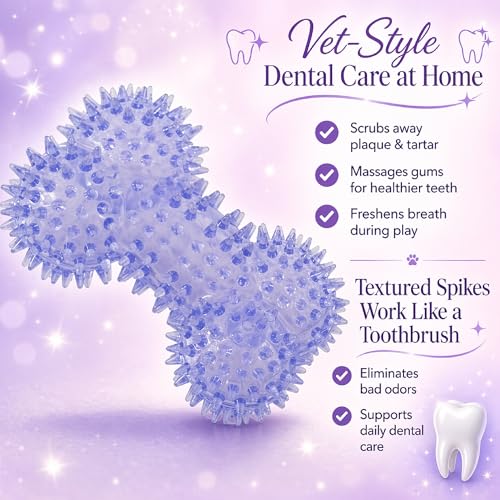 Squeaky Spiky Dog Bone Toy for Teeth Cleaning & Gum Massage 4.4 Inch Small Medium Dogs Purple | Spiny TPR Rubber Chew Toy for Fetch Play Interactive Bouncy Dental Bone Durable BPA Free Nontoxic Floats - size: Purple, Bone 1-Pack