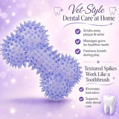 Squeaky Spiky Dog Bone Toy for Teeth Cleaning & Gum Massage 4.4 Inch Small Medium Dogs Purple | Spiny TPR Rubber Chew Toy for Fetch Play Interactive Bouncy Dental Bone Durable BPA Free Nontoxic Floats - size: Purple, Bone 1-Pack