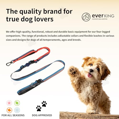 ‌EVERKING 6ft Hands-Free Dog Leash - 6-in-1 Adjustable with 360° Rotating Buckle, Night Reflective & Shock Absorbing for Large/Small Dogs (Up to 120lbs) (Dark Blue) - color: Dark blue