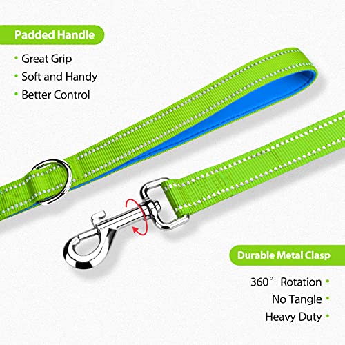 PHOEPET 5 Feet Dog Leash - Dual-Side Reflective - Soft Padded Handle - Fit for Walking, Training or Exploring Hiking, Camping (Green + Blue Base) - color: Green + Blue Base