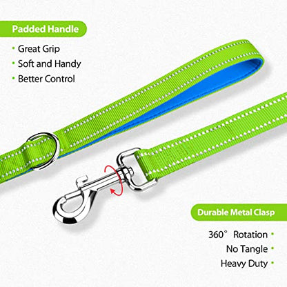 PHOEPET 5 Feet Dog Leash - Dual-Side Reflective - Soft Padded Handle - Fit for Walking, Training or Exploring Hiking, Camping (Green + Blue Base) - color: Green + Blue Base