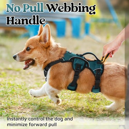 rabbitgoo Escape Proof Dog Harness Small Sized Dog, Soft Padded Full Body Pet Harness, Reflective Adjustable Vest with Lift Handle and Leash Clip for Walking Hiking Training, Dark Green, S - color: Dark Green, size: Small (Pack of 1)