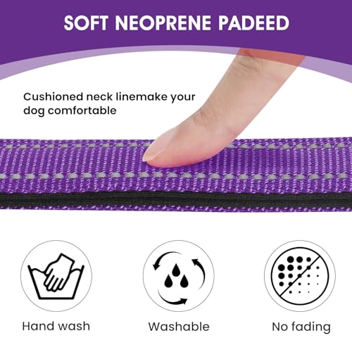 Reflective Dog Collar Padded with Soft Neoprene Breathable Quick Release Basic Dog Collars for Puppy Small Dogs Girl Purple - color: Purple, size: XS:width 5/8"neck 8-10.5"