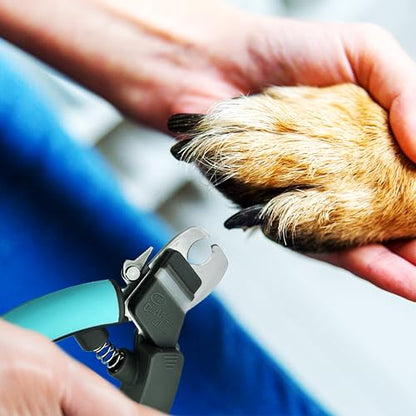 Miracle Care QuickFinder Scissor-Style Dog Clippers, Large/Dense Nails - size: Large