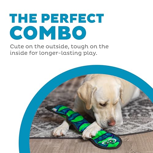 Outward Hound Durablez Large Snake Stuffing-Free Squeaky Plush Dog Toy for Puppies & Dogs - Interactive, Soft Yet Tough, No Mess, Jumbo Squeaker, Long-Lasting Play, 24.5 inch, Blue - color: Blue Snake, size: Large (Pack of 1)
