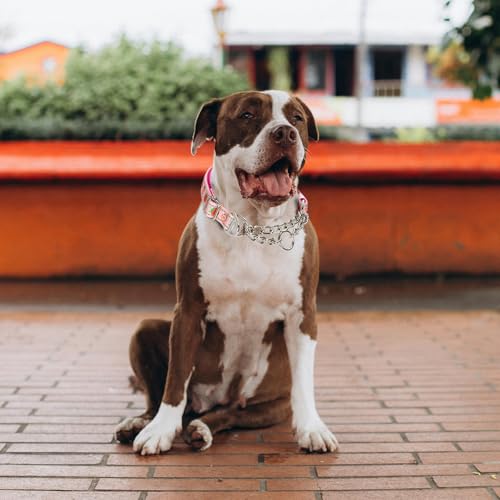 Cute Strawberry Pattern No-Pull Dog Collar, Reflective Martingale Training Collar with Adjustable Chain for Medium, Large & XL Breeds(Strawberry M) - color: 14, size: M(Neck12"-17")