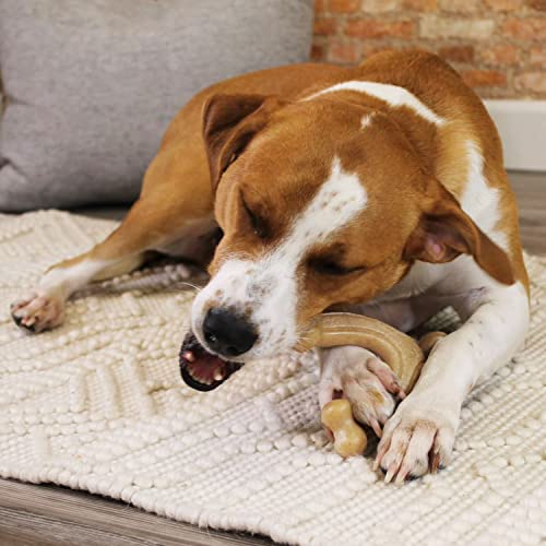 Nylabone Gourmet Style Wishbone Strong Chew Toy for Dogs, Chicken Flavor, Large - Up to 50 lbs, 1 Count - size: Large