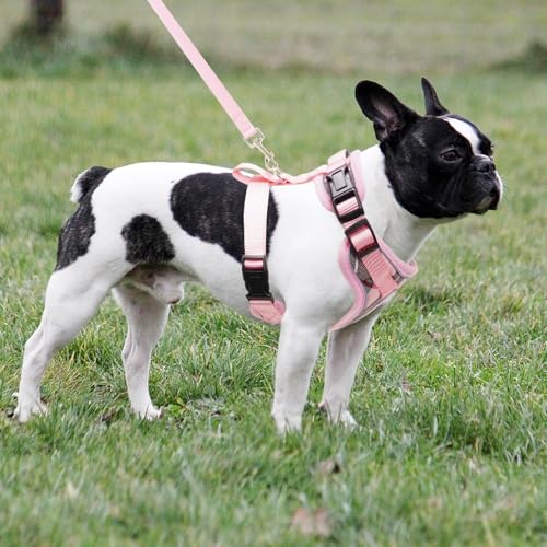 PUPTECK Soft Mesh Dog Harness and Leash Set Pet Puppy Cat Adjustable Reflective Padded Vest No Pull Harnesses, Pink, S - color: Pink, size: S (NECK: 13-15", CHEST: 14-18")