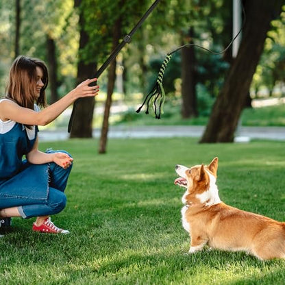 Flirt Pole for Dogs, Interactive Dog Toys Extendable Teaser Wand with Lure Chewing Toy, Chase and Tug of War for Small Medium Large Dogs Training Playing Exercise - size: 40.5Inch Pole-Black