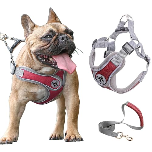 Puppy Harness and Leash Set,No Pull Adjustable Step in Soft Mesh Vest Harness,Easy Walk Reflective Pet Harness with Padded Handle for Walking Training Small Medium Large Dogs and Cats (Red, XS) - color: Red, size: XS