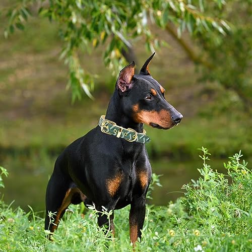 Leather Dog Collar and Leash Set, Check Pattern Dog Collar Leashes Metal Buckle Adjustable Durable for Small Medium Large Dogs (Green, M(11.8-15IN)) - color: Green, size: M(11.8-15IN)