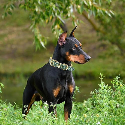 Leather Dog Collar and Leash Set, Check Pattern Dog Collar Leashes Metal Buckle Adjustable Durable for Small Medium Large Dogs (Green, M(11.8-15IN)) - color: Green, size: M(11.8-15IN)