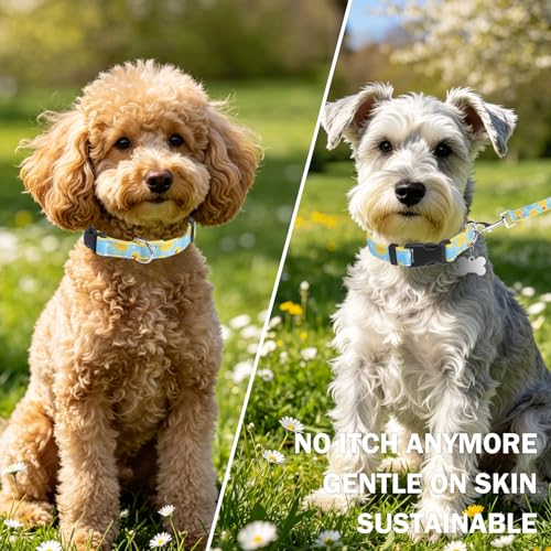 Dog Collar and Leash Set, Adjustable Dog Collars for Small Medium Dogs Boys Girls, Soft Durable Nylon Collar and Matching Leash, Cute Puppy Collars,Yellow - color: Yellow duck, size: Small(Neck:11.8"-16.2")