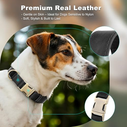 Plutus Pet Genuine Leather Dog Collar – Adjustable Pet Collar with Quick Release Metal Buckle, Soft Real Leather for Small Medium Large Dogs, Heavy Duty & Skin-Friendly (Black, S) - color: Black, size: S