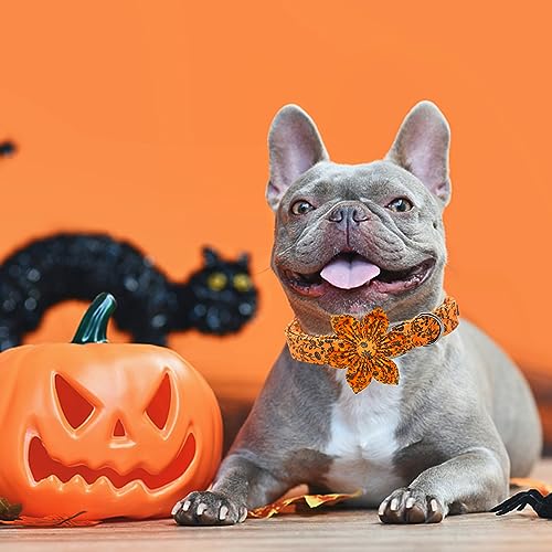 Dog Collar, Halloween Pet Collar with Flower Pumpkin Pet Collar Flower Puppy Collars Cute Adjustable Collars for X-Small Puppy - color: Flower Pumpkin, size: X-Small (Pack of 1)