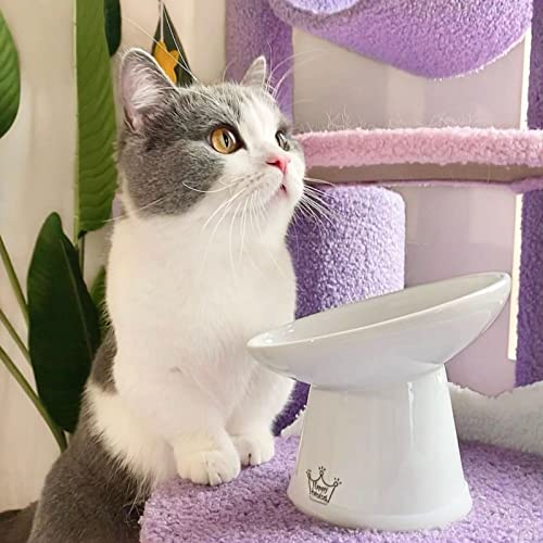 Necoichi Elevated Cat Food Bowl, Ceramic (Porcelain),15° Tilted, Whisker-Friendly, Dishwasher, Microwave Safe, Non-Slip, Anti-Vomiting, Neck Fatigue (Extra Wide Tilted, 1.5-Cup Capacity) - color: Cat, size: Large Extra Wide Tilted (1.5 Cups)