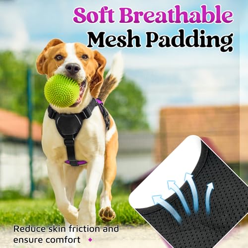 rabbitgoo Escape Proof Dog Harness, Soft Padded Full Body Pet Harness, Reflective Adjustable No Pull Vest with Lift Handle and Lesh Clip for Large Dogs Walking Hiking Training, S, Purple - color: Purple, size: Small (Pack of 1)