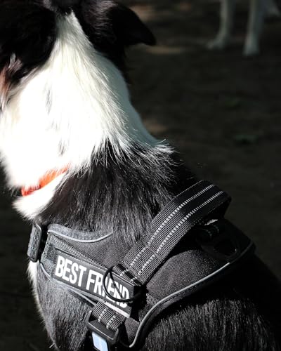 AUROTH Dog Harness and Leash Set, Soft Padded Service Dog Vest with 5.25FT Dog Leash, No Choke, Easy On Pet Vest, Adjustable Reflective No Pull Dog Harness for Large Dogs, Easy Walking and Training - color: Black, size: Large