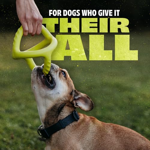 Benebone Natural Rubber Tug Interactive Dog Toy, Natural Rubber - size: 1 Pack, style: Tug