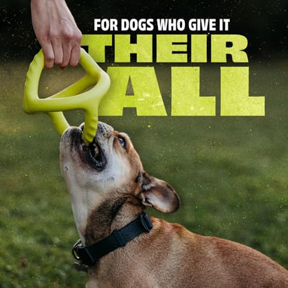 Benebone Natural Rubber Tug Interactive Dog Toy, Natural Rubber - size: 1 Pack, style: Tug