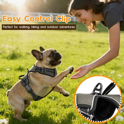 No Pull Dog Harness, No Chock Reflective Adjustable Soft Padded Pet Vest with Easy Control Handle, Easy Wearing with Stylish, Reinforced Knot, 2 Buckles - color: Olive Stone, size: X-Small
